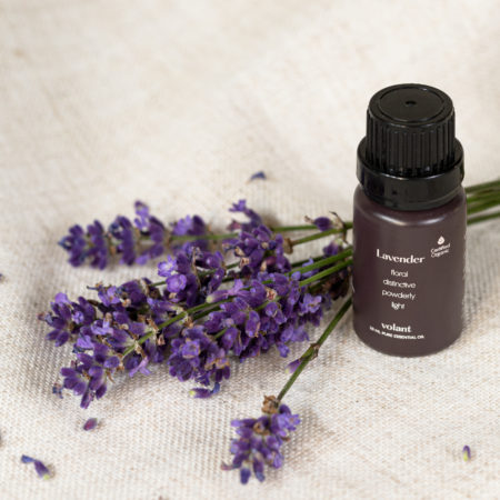 Essential oil fra Volant, Lavender - miljøbilde