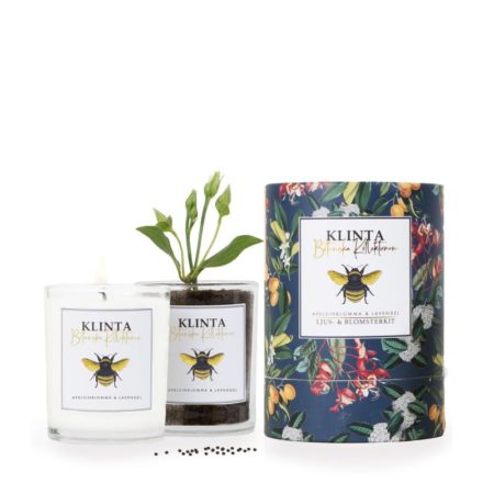 Duftlys & blomsterkit | Appelsinblomst & Lavendel produktbilde