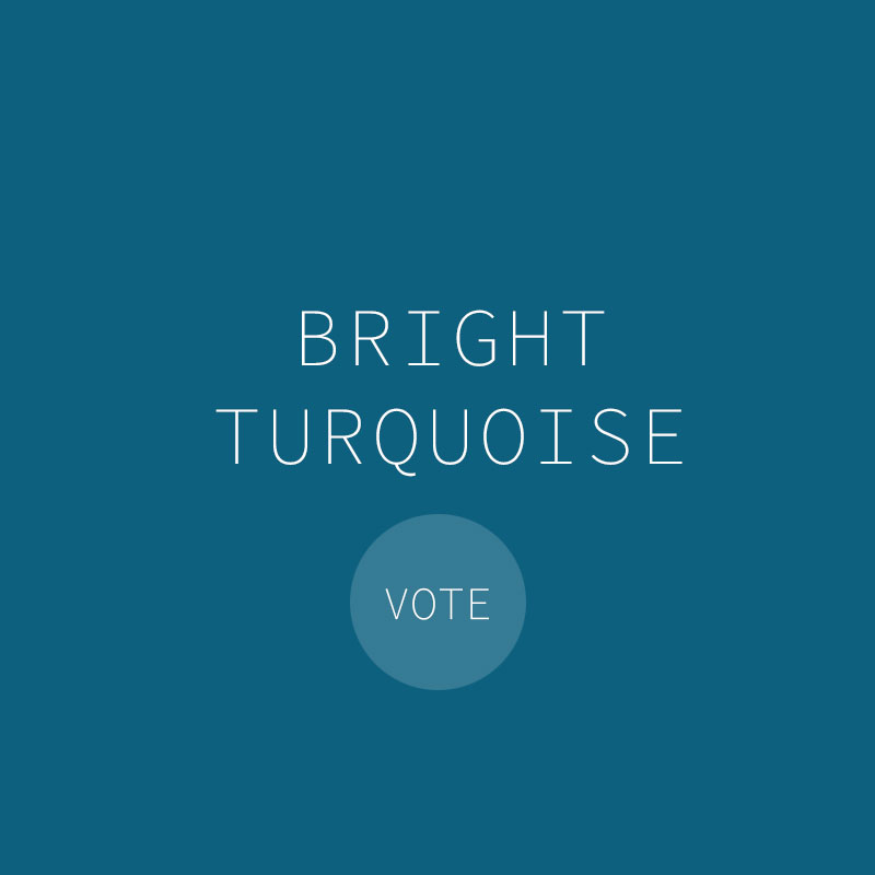 Panton Chair Limited Edition 2026 - Bilde 8