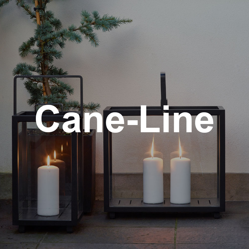 Kampanjeoversikt_Cane